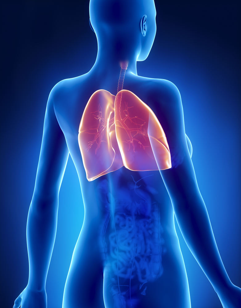 Back and Chest pain including lung pain - connections, symptoms and  treatment